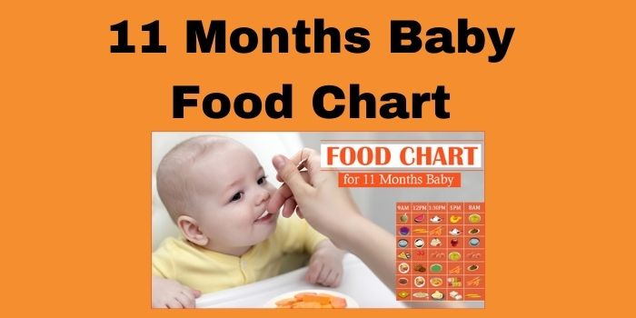 11 Months Baby Food Chart 2022